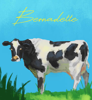 Bernadette the Cow